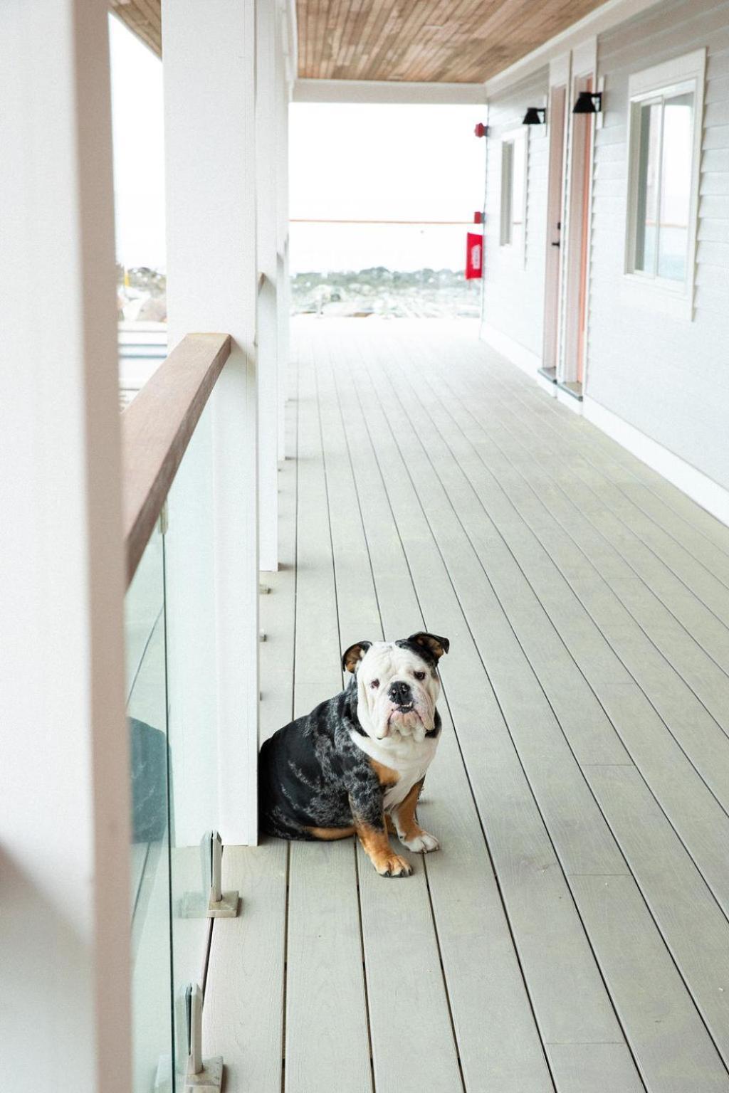 York Beach Surf Club エクステリア 写真